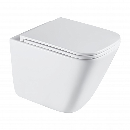 Подвесной унитаз безободковый Terminus Ватикан Монолит 490х340 белый Вольск - фото 2