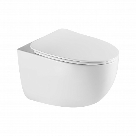 Подвесной унитаз безободковый Terminus Енисей Монолит 560х390 белый Вольск - фото 2