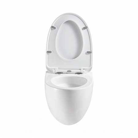 Подвесной унитаз безободковый Terminus Енисей Монолит 560х390 белый Вольск - фото 5