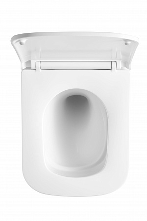 Подвесной унитаз безободковый Terminus Ватикан Монолит 490х340 белый Вольск - фото 3